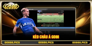 Kèo Châu Á Go88 - Bí Quyết Đọc Kèo Và Đặt Cược Hiệu Quả