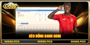 Kèo Đồng Banh Go88 Là Gì? Cách Đọc Kèo Và Cược Hiệu Quả