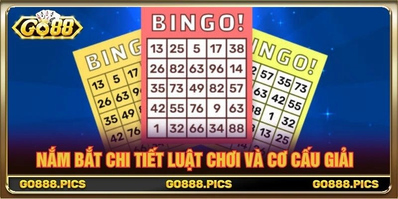 Nắm bắt chi tiết luật chơi và cơ cấu giải