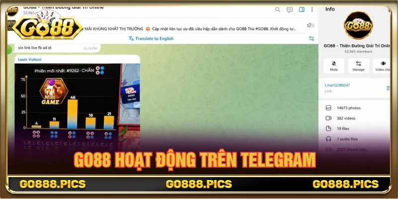 Telegram của GO 88 với hơn 53K thành viên tham gia